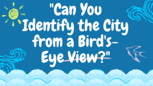 Can You Identify the City from a Bird's-Eye View?