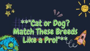 Cat or Dog? Match These Breeds Like a Pro